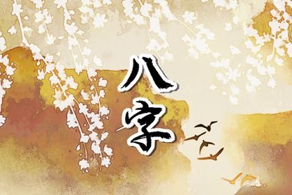 常见八字误区